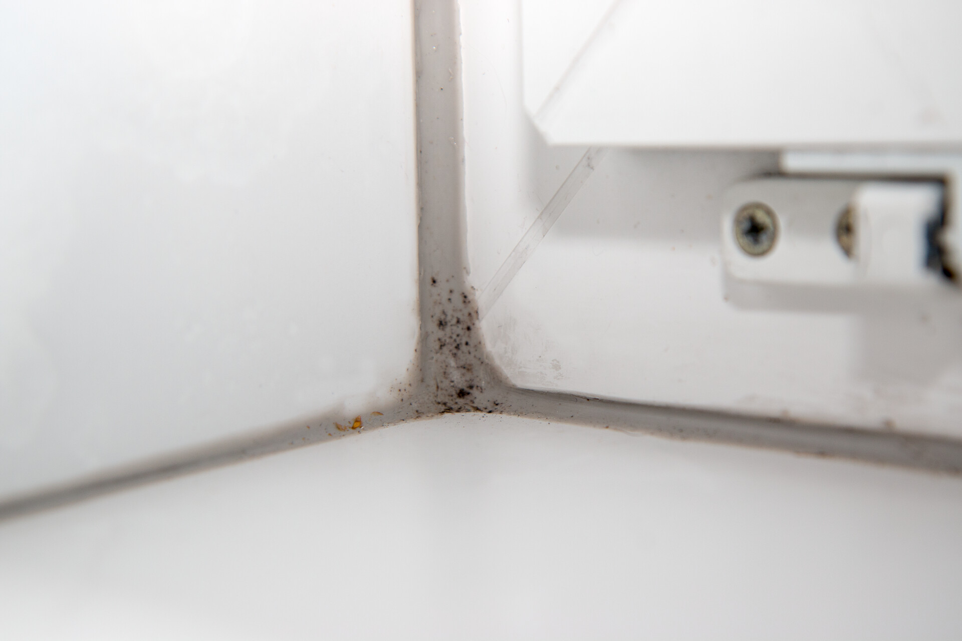 Schimmel an Silikonfuge beim Fenster